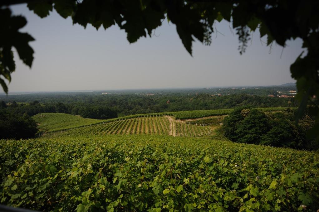 Locanda Villa Cavalleri Gattinara Dış mekan fotoğraf